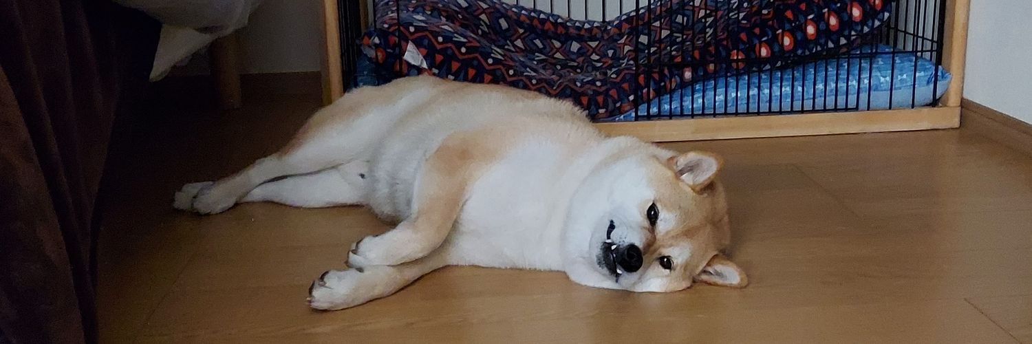 たけまる's banner