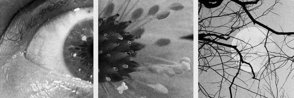 اِئلناز banner