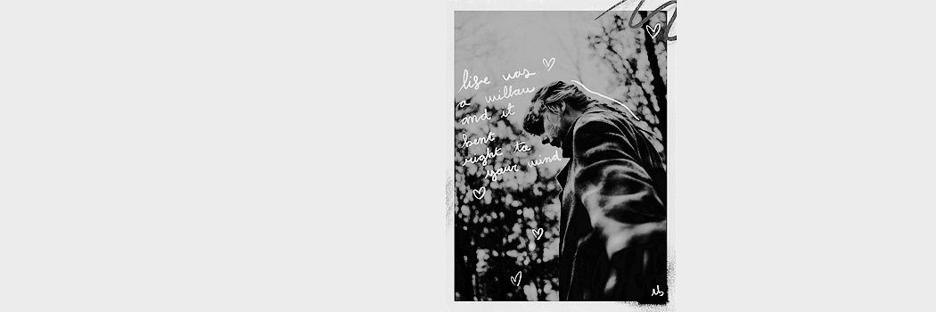 cris 🐈 banner