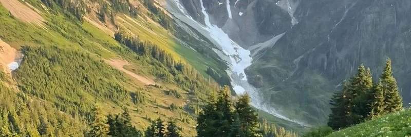 珍珠奶茶 banner