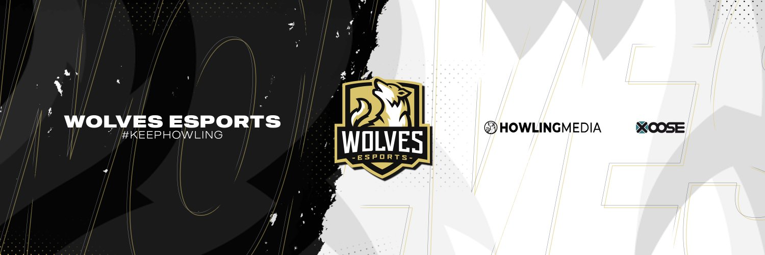 Wolves Esports banner