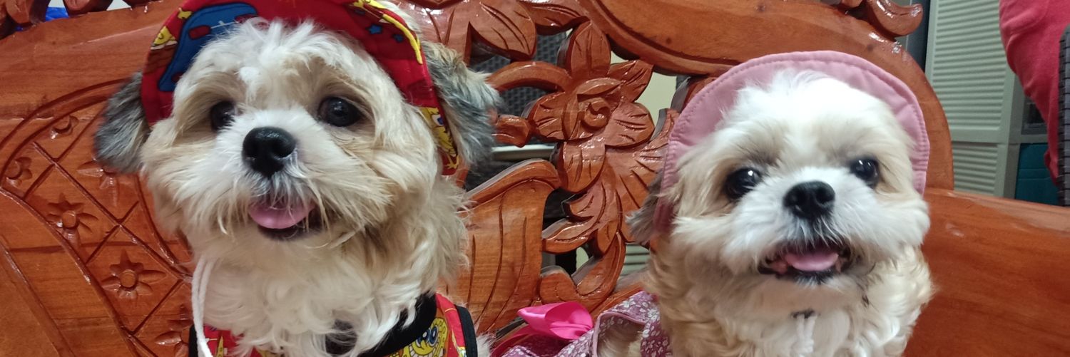 kat_villapando's profile banner image