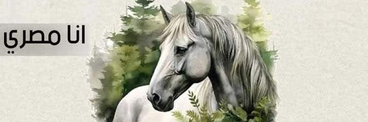 كود خصم شقردي msmas banner