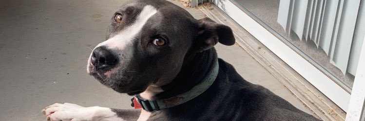 TheNiemeier's profile banner image