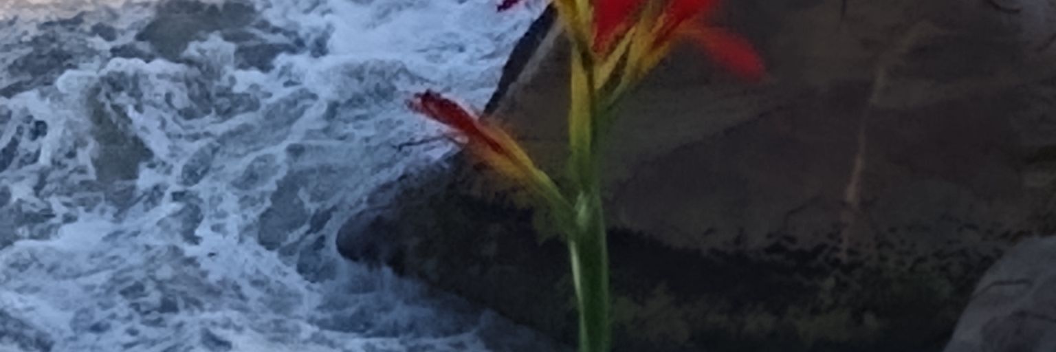 marcinhaklb's profile banner image