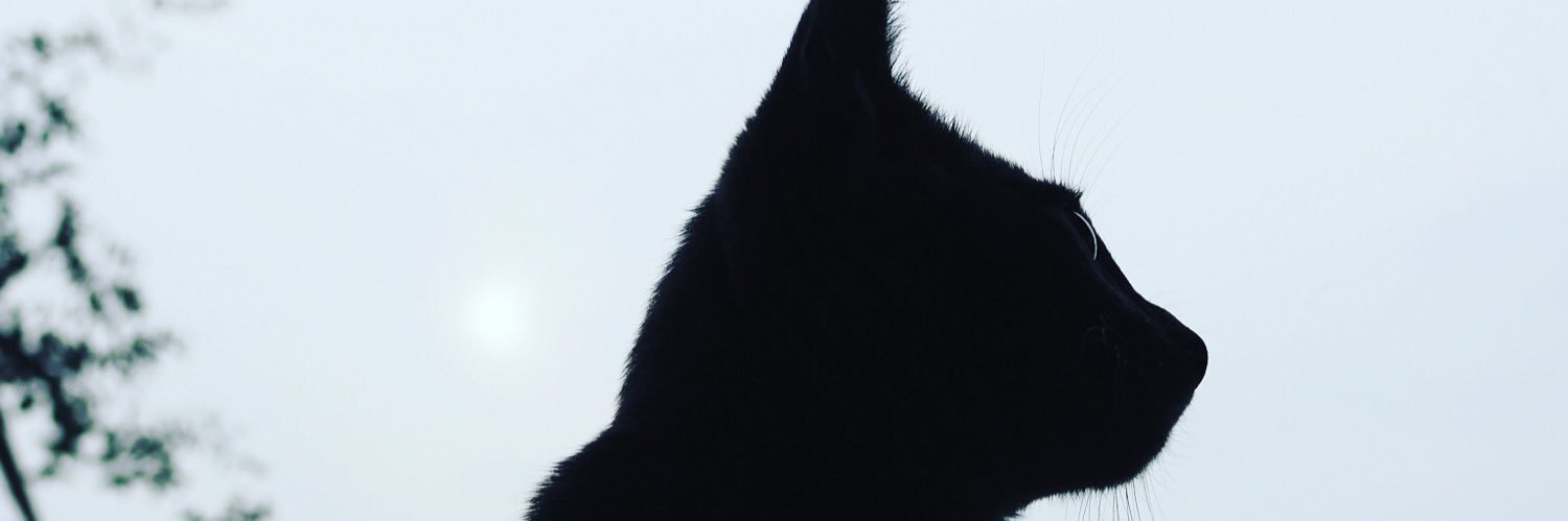 dora19810326's profile banner image