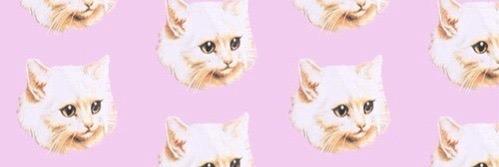 - banner