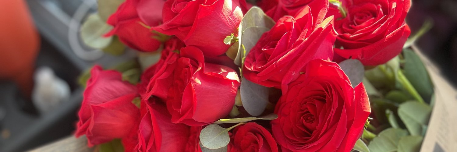 MyJ_aFool's profile banner image