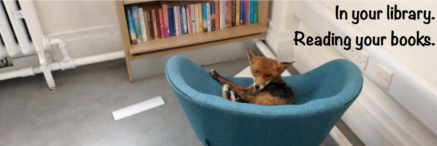 Bennet Renard 🦊 📚 ✍🏼 banner