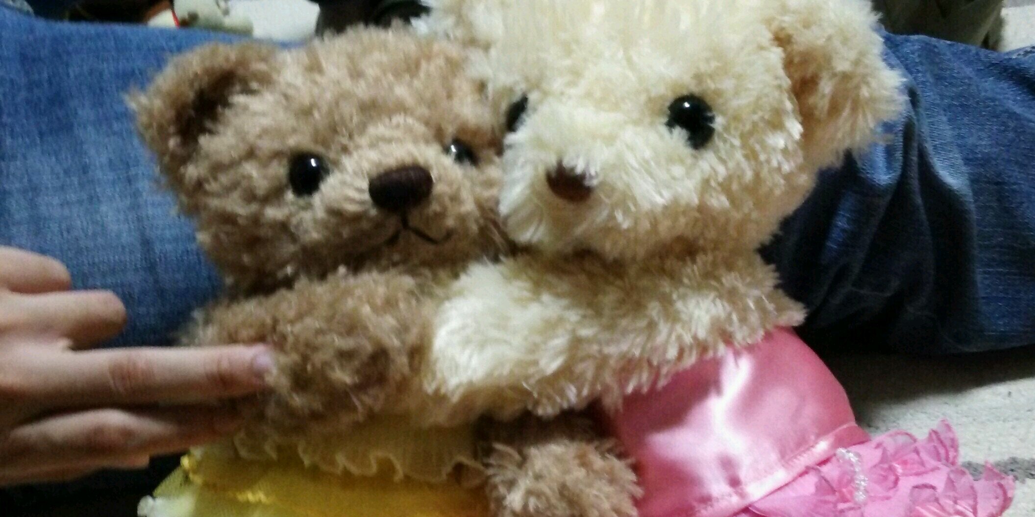 catbear0310's profile banner image