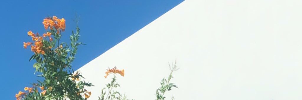 Treyfarted's profile banner image