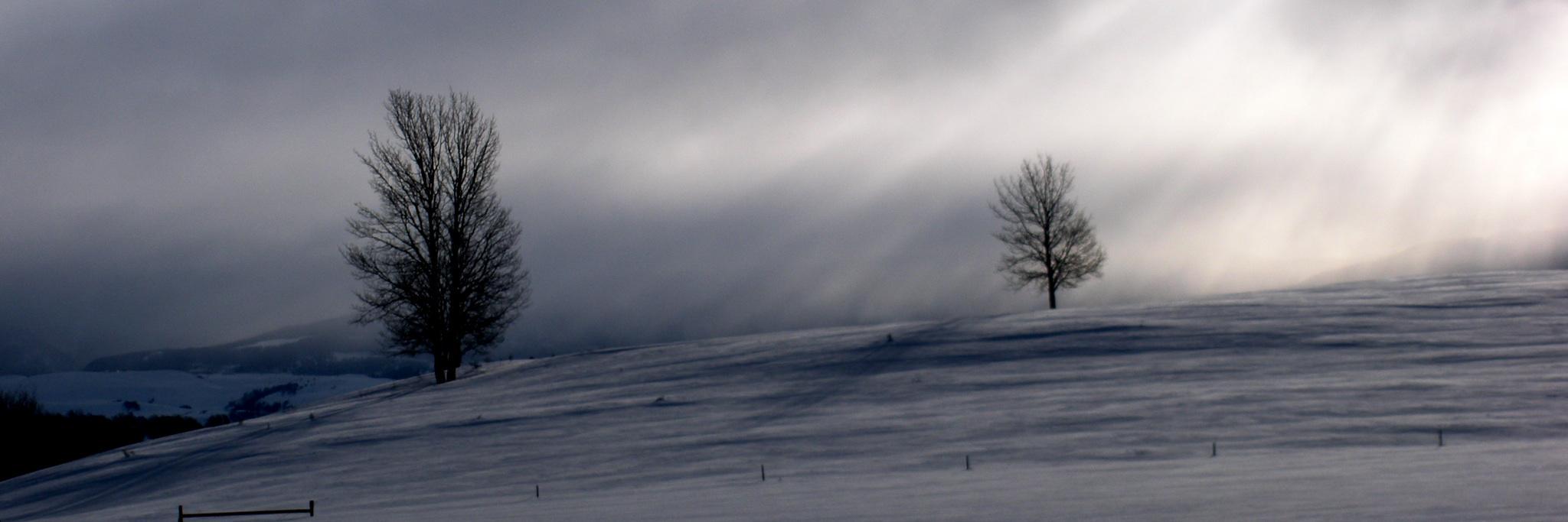 stephen_bennett's profile banner image