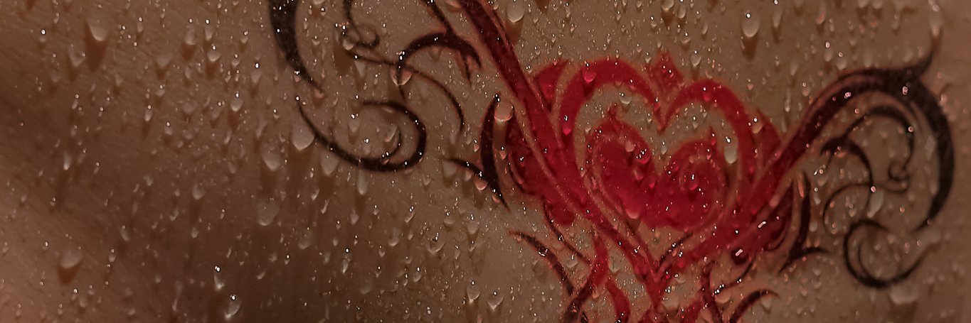 HP Photography banner