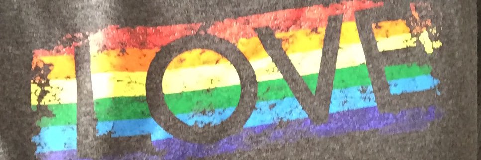R.Rogers 👩🏻‍🔬 (she/her) 🌈 banner