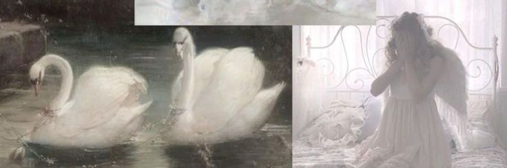 Angelskissrain's profile banner image