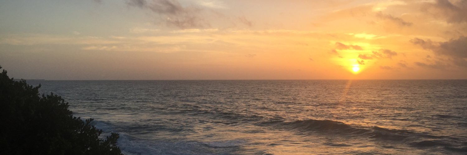 BAMandrewF's profile banner image