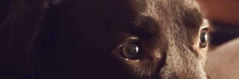 _djoseph's profile banner image