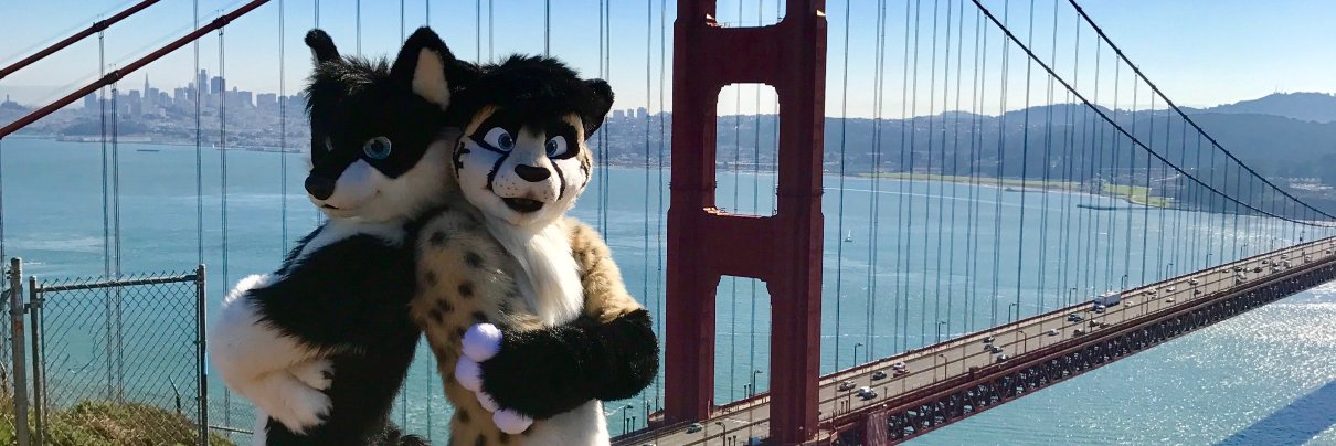 Impawsible spots banner