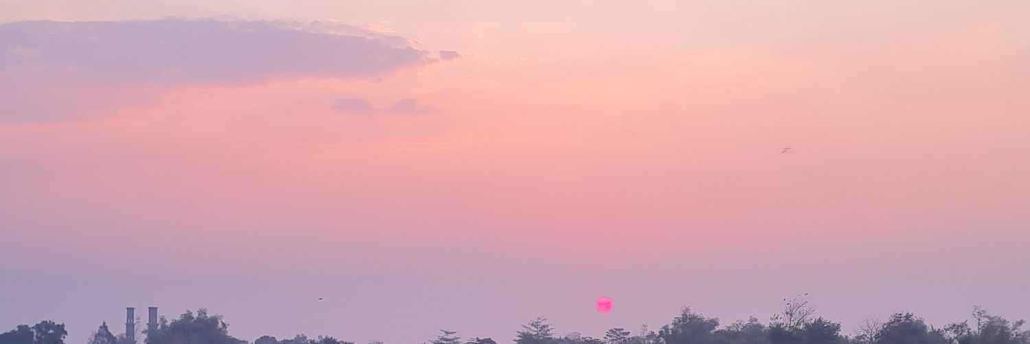 diaanshim's profile banner image