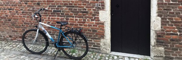 mireiamb Profile Banner