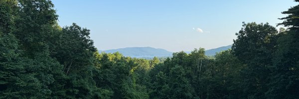 apathetic_t1d_ Profile Banner