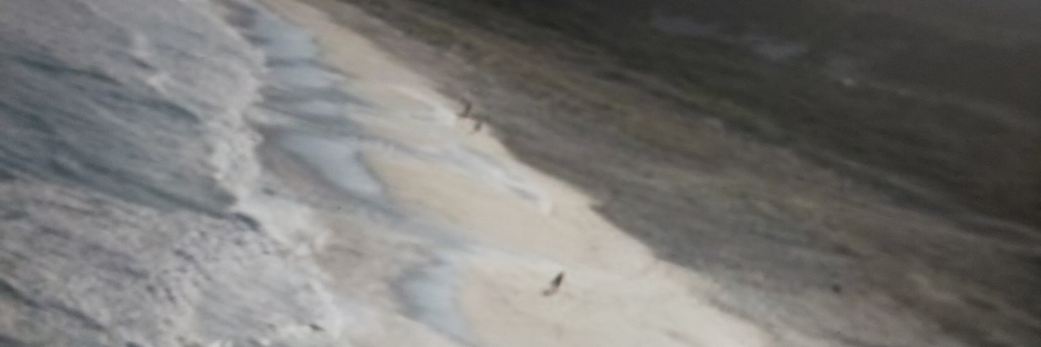 JC16316861's profile banner image