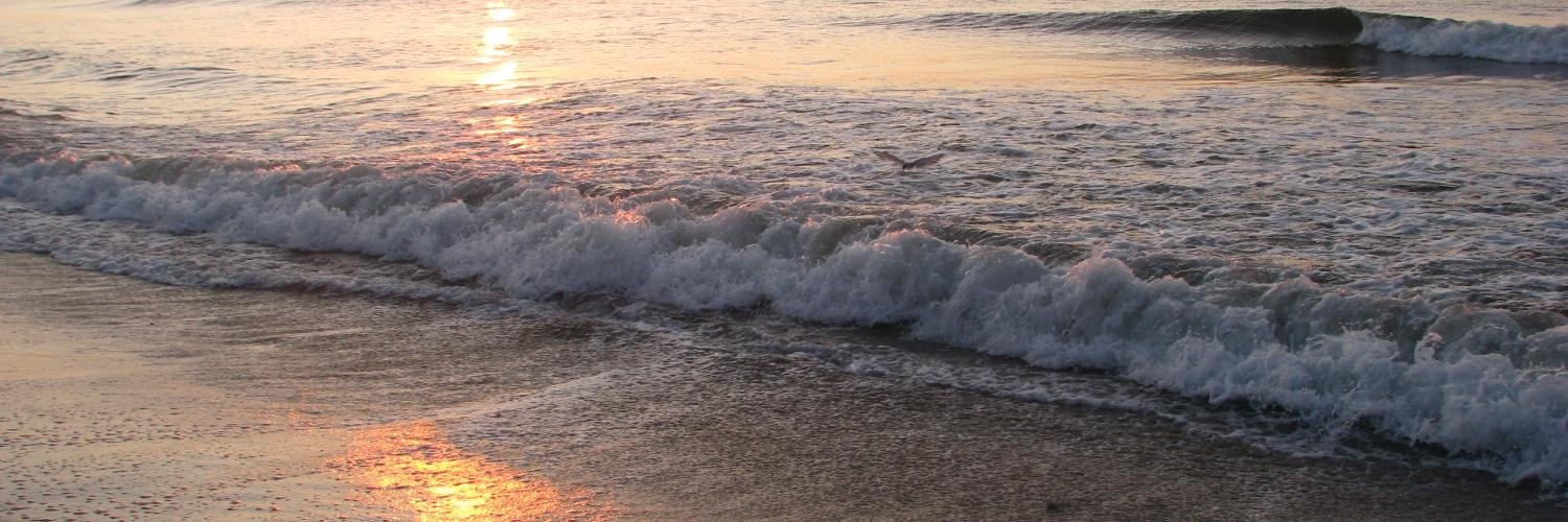 Mary-Theresa Hussey banner