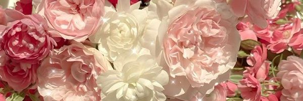 usercdt3 Profile Banner