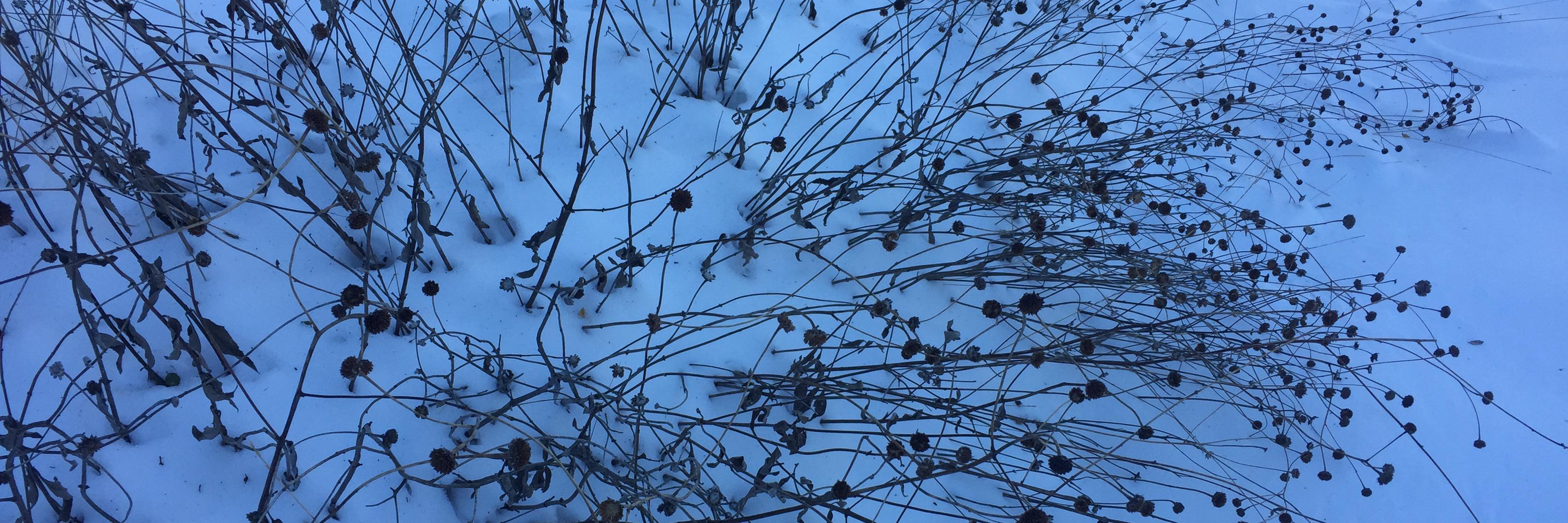 FeefeeP's profile banner image