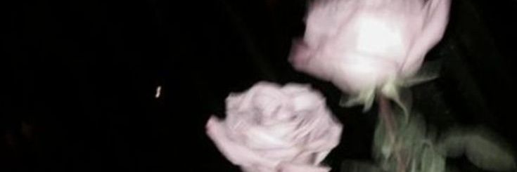 제아♱໒꒱ ‧₊˚ banner