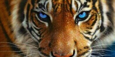 tiscar33's profile banner image