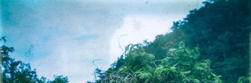 ShingoOta 太田信吾 banner