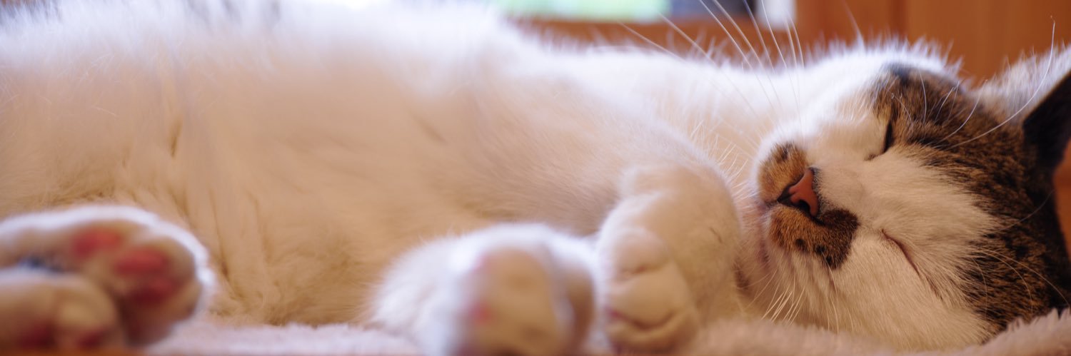 糸笙(いとせ) banner