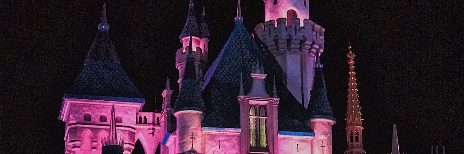 ZR banner