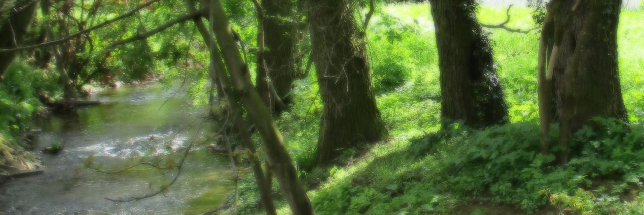 WalFriman's profile banner image