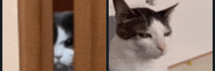 nivilitalistant's profile banner image