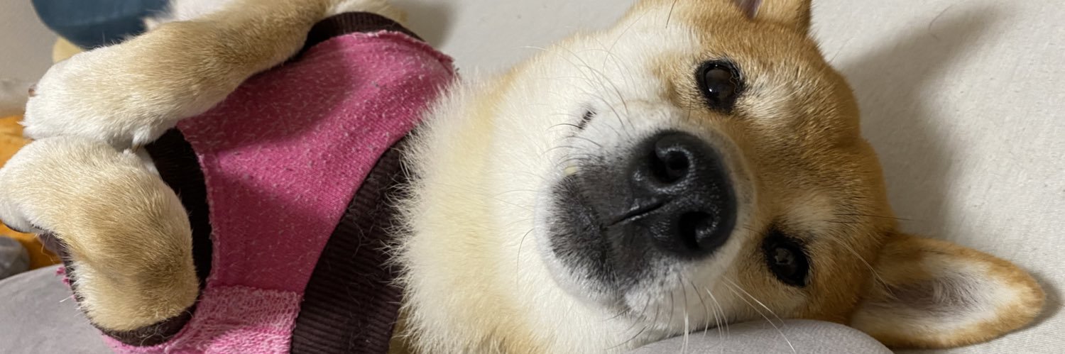 すーぼー banner