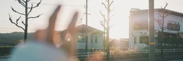 ニン banner