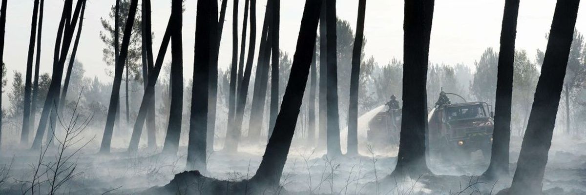 frederic_brandt's profile banner image