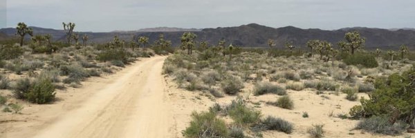 JimBarry Profile Banner