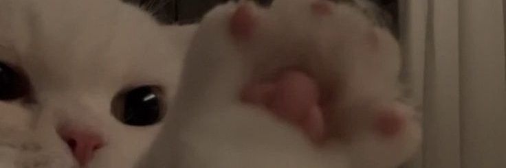 ismeisnice's profile banner image