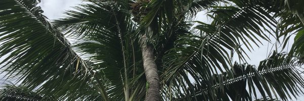 DeFede Profile Banner