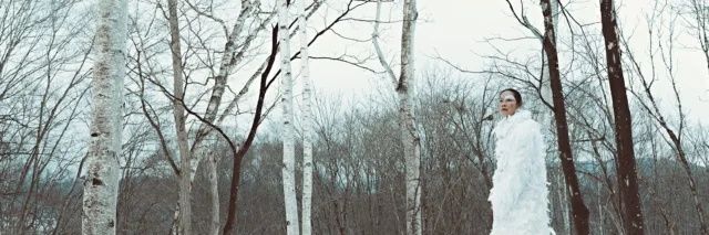 N's banner