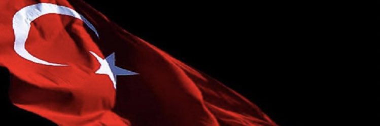 63722Alpasel's profile banner image