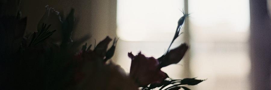 dutrieuk's profile banner image