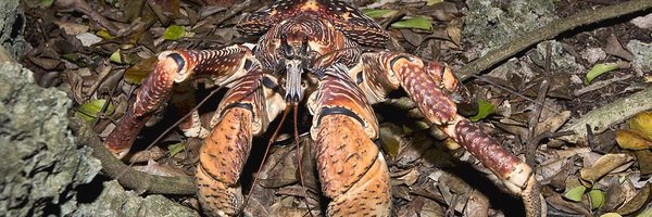 FixYouthsFuture Profile Banner