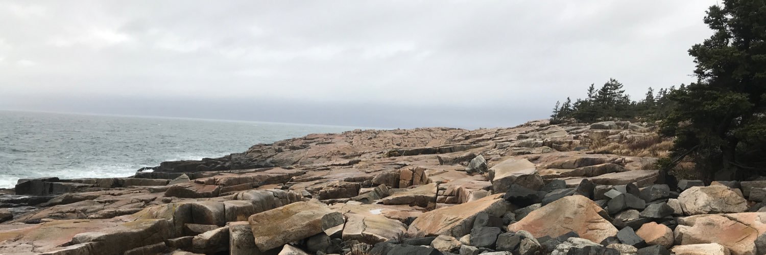sedpaleo's profile banner image