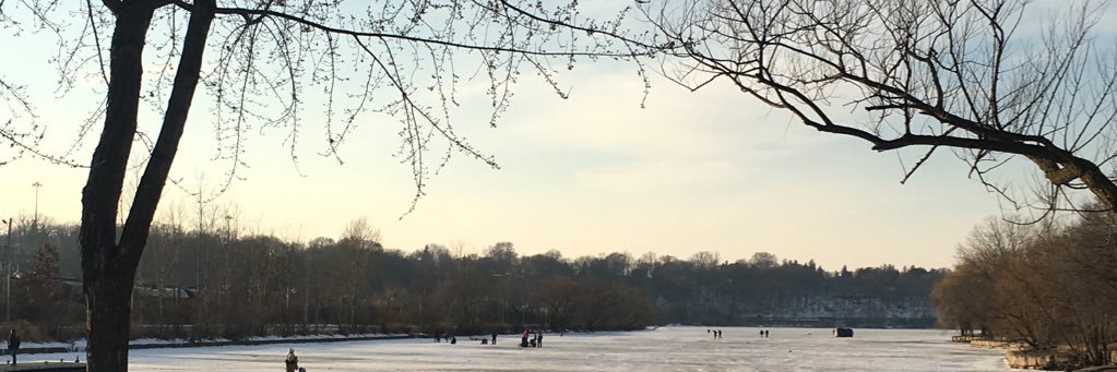 vanessaprunean's profile banner image