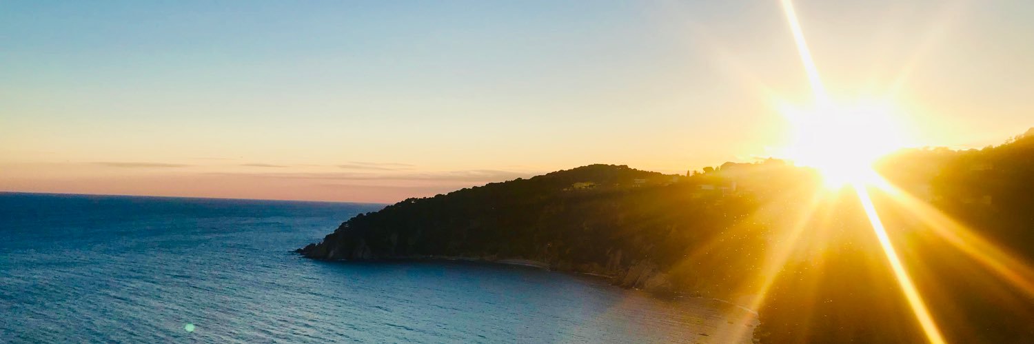LauraToner14's profile banner image
