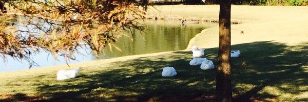 jdanton Profile Banner